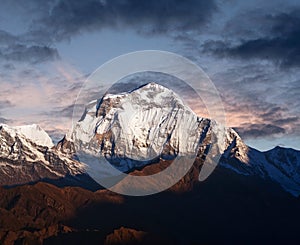 Panorama of mount Dhaulagiri at sunset, Nepal Himalaya photo
