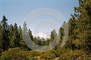 Panorama of Mount Shasta, Volcano in the Cascade Range, California