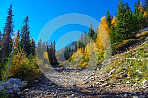 Panorama mountain autumn landscape