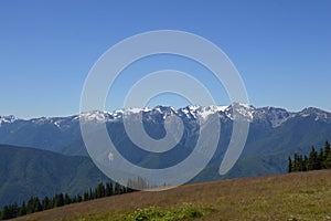 Panorama Mountain Landscape at Hurricane Ridge in Olympic National Park, Washington