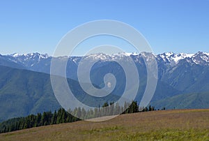 Panorama Mountain Landscape at Hurricane Ridge in Olympic National Park, Washington