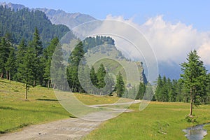 Panorama with mountain pathway in Summer