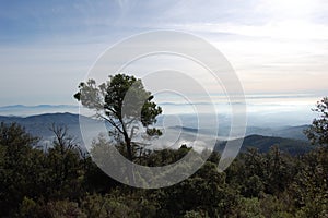 Panorama of the mountains and forests of El Valles in Catalonia photographed from the mount of La Mola next to Montserrat.