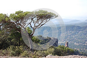 Panorama of the mountains and forests of El Valles in Catalonia photographed from the mount of La Mola next to Montserrat.