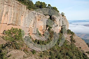 De montanas a bosques de en Cataluna fotografiado conectar de próximo sobre 