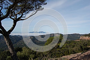 Panorama of the mountains and forests of El Valles in Catalonia photographed from the mount of La Mola. View of Montserrat.