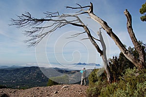 Panorama of the mountains and forests of El Valles in Catalonia photographed from the mount of La Mola. View of Montserrat.