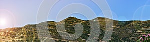 Panorama. The mountains and olive groves
