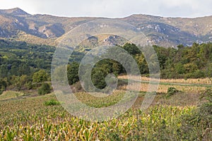 Panorama of mounts of the Suva planina, a chain of mountains and hills in Balkans, in Southeastern Serbia, with forests, hills