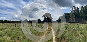 Panorama from the National Park Drents-Friese Wold