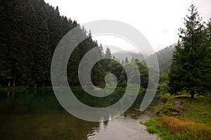 Panorama of natural landscape with lake, forest and mountains in a rainy day background. Foggy morning with mountains and forest.