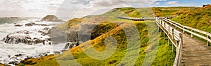 Panorama of the Nobbies centre on Phillips island in the summer