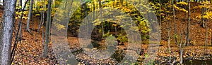 Panorama of a number of streams that congregate into the forest within the city - Mississauga, ON, Canada photo