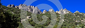 Panorama of Organ Mountains-Desert Peaks National Monument in New Mexico photo