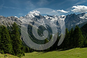 Panorama of the Ortler Alps near Stelvo Pass on a sunny day in summer