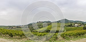 Panorama over the hills with vineyards and castle Brolio in Tuscany in Italy