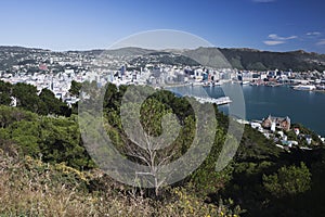 Panorama over Lambton Harbour seen from Mount Victoria