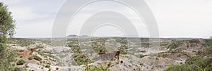 Panorama over Oldupai Gorge, Tanzania