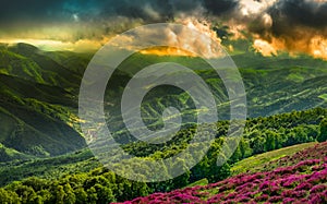 Panorama over the Rau Sadului village