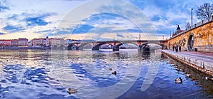 Panorama of Palacky Bridge and evening Vltava with mallards, Prague, Czechia