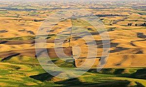 Panorama of Palouse, Washington State