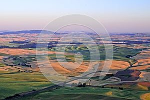 Panorama of Palouse, Washington State