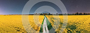 panorama, panoramic Elevated View Night Starry Sky Above Country road through Field With Flowering Blooming Oilseed