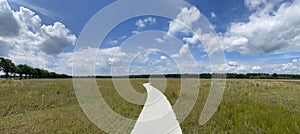 Panorama from a path through National Park Drents-Friese Wold