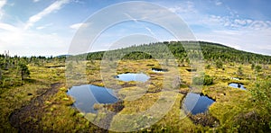 Panorama of peat bog with little lakes under blue sky
