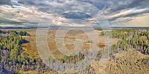 Panorama of peat swamp under sky with heavy clowds photo