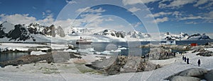 Panorama - penguin colonies, cruise ship & tourists