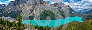 Panorama of Peyto lake on Icefields Parkway in Banff National Park, Alberta, Rocky Mountains Canada