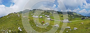 Panorama photo of Mala Planina, Slovenia