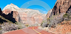 Road in Zion National Park