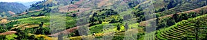 Panorama picture of agriculture fields on foot of the hill.