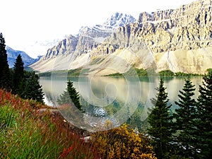 Panorama picture of the Canadian Bow Lake with many trees in front in the Rocky Mountains in Banff national Park in Alberta, Canad