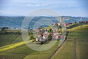 Panorama of Piedmont vineyards and Barbaresco town