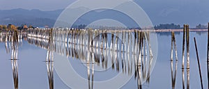 Panorama of pilings in river.