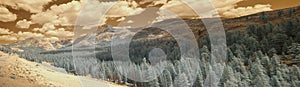 Panorama of pine forest in Yosemite National Park in infrared