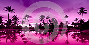 Panorama Pink and red sunset over sea beach