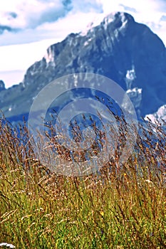 Panorama from the Plan de Corones path