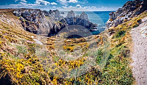 Panorama of Pointe du Pen-Hir on the Crozon peninsula, Flowering