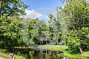 Panorama of a pond in a baltic forest in Sigulda, latvia, surrounded by green woods in summer, in a typical european water area