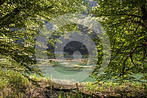 Panorama of the pond Jankovac, a small water lake surrounded by trees and forest in the Papuk mountain, a major national park of