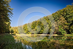 Panorama of the pond Jankovac, a small water lake surrounded by trees and forest in the Papuk mountain, a major national park of