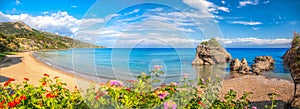 Panorama of Porto Zorro beach against colorful flowers on Zakynthos island, Greece