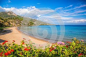 Panorama of Porto Zorro beach against colorful flowers on Zakynthos island, Greece photo