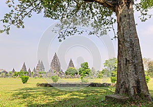 Panorama of Prambanan temple near Yogyakarta city, Central Java, Indonesia