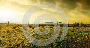 Panorama of a rare morning fog in the Phoenix Sonoran Desert Preserve