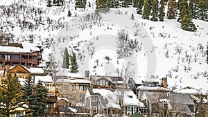 Panorama Residential area and lush coniferous trees on a mountain with snow in winter